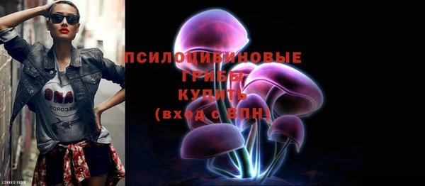 тгк Аркадак
