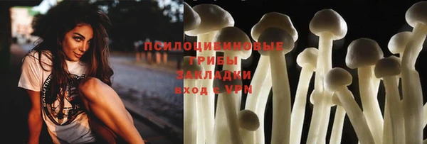 мет Арсеньев