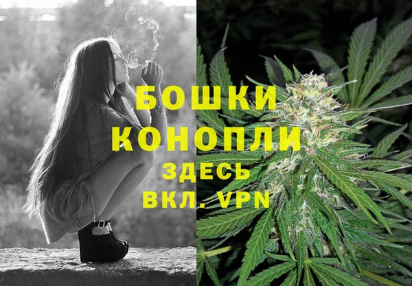 сатива Армянск