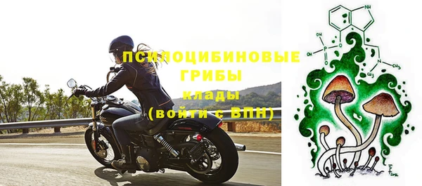 тгк Аркадак