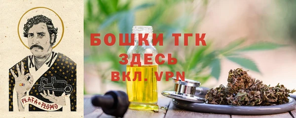 тгк Аркадак