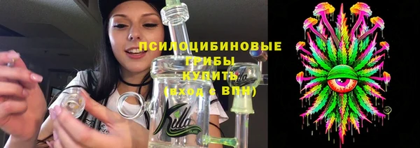 мет Арсеньев