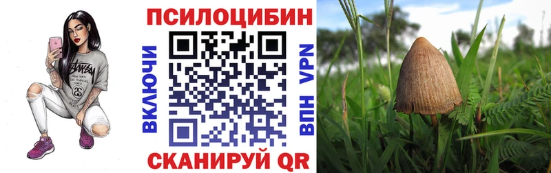 hydra   наркошоп  Полысаево  Галлюциногенные грибы мицелий 